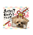 チョコスタンプ02（個別スタンプ：17）
