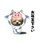 チョコスタンプ02（個別スタンプ：18）