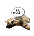 ミニーちゃん 親しい仲間スタンプ（個別スタンプ：2）
