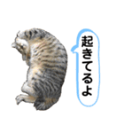 ミニーちゃん 親しい仲間スタンプ（個別スタンプ：5）