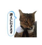 ミニーちゃん 親しい仲間スタンプ（個別スタンプ：8）