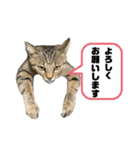 ミニーちゃん 親しい仲間スタンプ（個別スタンプ：29）