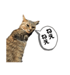 ミニーちゃん 親しい仲間スタンプ（個別スタンプ：33）
