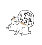 まったりごろごろ日本猫6・新しい日常（個別スタンプ：2）