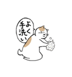 まったりごろごろ日本猫6・新しい日常（個別スタンプ：13）