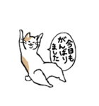 まったりごろごろ日本猫6・新しい日常（個別スタンプ：24）