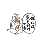 まったりごろごろ日本猫6・新しい日常（個別スタンプ：31）