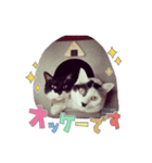続・おにぎり＆おむすび（個別スタンプ：2）