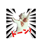 続・おにぎり＆おむすび（個別スタンプ：7）