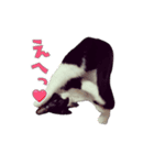 続・おにぎり＆おむすび（個別スタンプ：8）