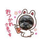 じゅりちゃんが居る生活（個別スタンプ：11）