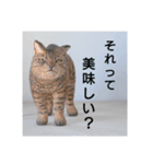 木彫ねこのレス（個別スタンプ：2）