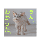 木彫ねこのレス（個別スタンプ：3）