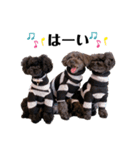 Blanc❤︎Noa feat.TARO.2020②（個別スタンプ：1）
