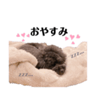 Blanc❤︎Noa feat.TARO.2020②（個別スタンプ：4）