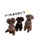 Blanc❤︎Noa feat.TARO.2020②（個別スタンプ：6）