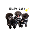 Blanc❤︎Noa feat.TARO.2020②（個別スタンプ：7）