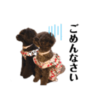 Blanc❤︎Noa feat.TARO.2020②（個別スタンプ：12）