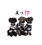 Blanc❤︎Noa feat.TARO.2020②（個別スタンプ：16）