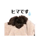 Blanc❤︎Noa feat.TARO.2020②（個別スタンプ：21）