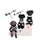 Blanc❤︎Noa feat.TARO.2020②（個別スタンプ：22）
