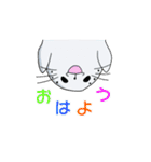 アザラシプロLINEスタンプ（個別スタンプ：28）