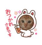 10月の保護子猫たち（個別スタンプ：3）