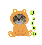 10月の保護子猫たち（個別スタンプ：7）