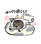 10月の保護子猫たち（個別スタンプ：11）
