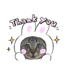 10月の保護子猫たち（個別スタンプ：22）