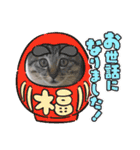 10月の保護子猫たち（個別スタンプ：23）