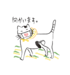 新しい生活様式で暮らす猫（個別スタンプ：2）