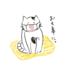 新しい生活様式で暮らす猫（個別スタンプ：26）