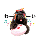 Blooming dogs* black poodle（個別スタンプ：18）