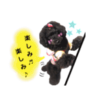 Blooming dogs* black poodle（個別スタンプ：19）