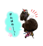 Blooming dogs* black poodle（個別スタンプ：20）