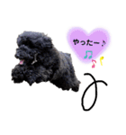 Blooming dogs* black poodle（個別スタンプ：32）