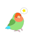 ゆるふわコザクラインコ（個別スタンプ：2）