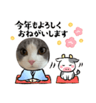 ししゃも3（個別スタンプ：7）