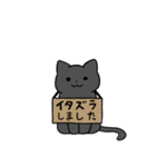 黒にゃんこスタンプ3（個別スタンプ：34）