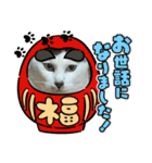 うちのレオにゃ（個別スタンプ：40）