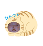 花夜4（個別スタンプ：4）
