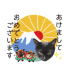 ゴマシオとクロ（個別スタンプ：40）