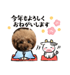 ティーカッププードルのモアちゃん（個別スタンプ：10）