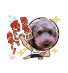 coco 202012（個別スタンプ：1）