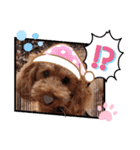 coco 202012（個別スタンプ：2）