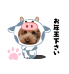 coco 202012（個別スタンプ：4）