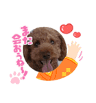 coco 202012（個別スタンプ：5）