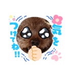 coco 202012（個別スタンプ：6）