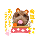 coco 202012（個別スタンプ：8）